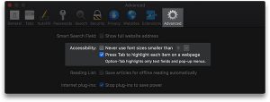 Accessibility Settings in Safari