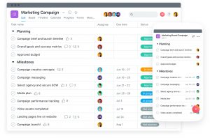 Asana Project Management