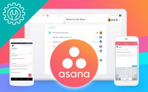 Asana Project Management