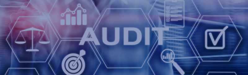The Role of MS(S)Ps in Successful Audits